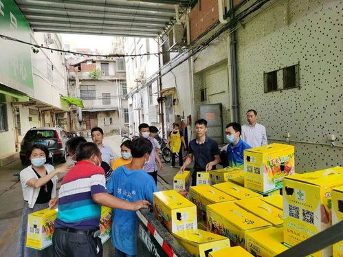 大龍街以購代捐 優(yōu)質(zhì)農(nóng)產(chǎn)品認(rèn)購，助力消費(fèi)扶貧新篇章